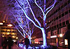 Luminale